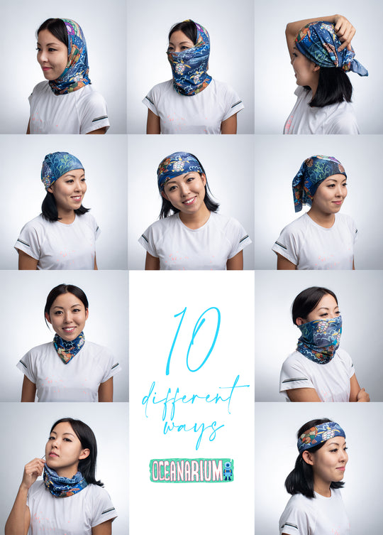 Turtle Headwear