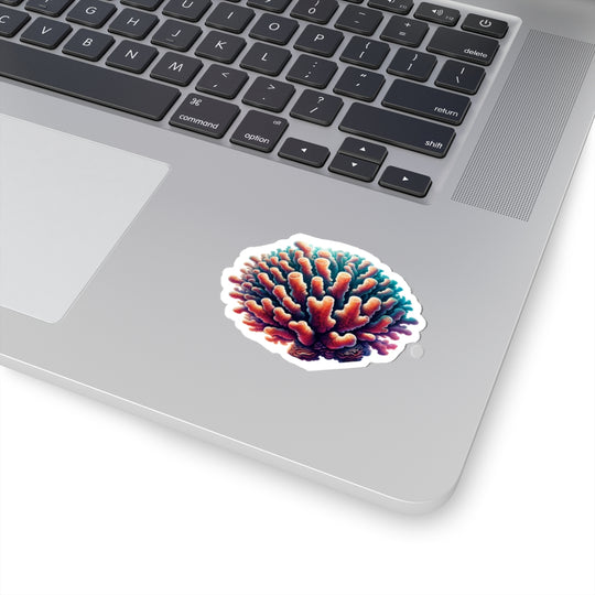 Coral Polyp