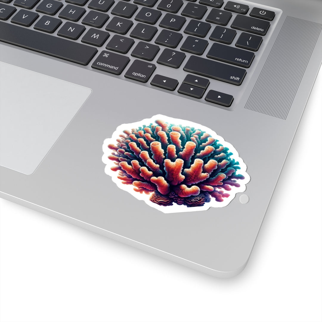 Coral Polyp