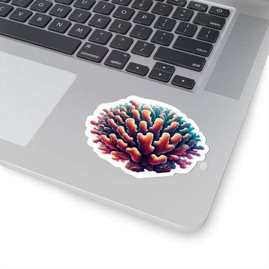 Coral Polyp
