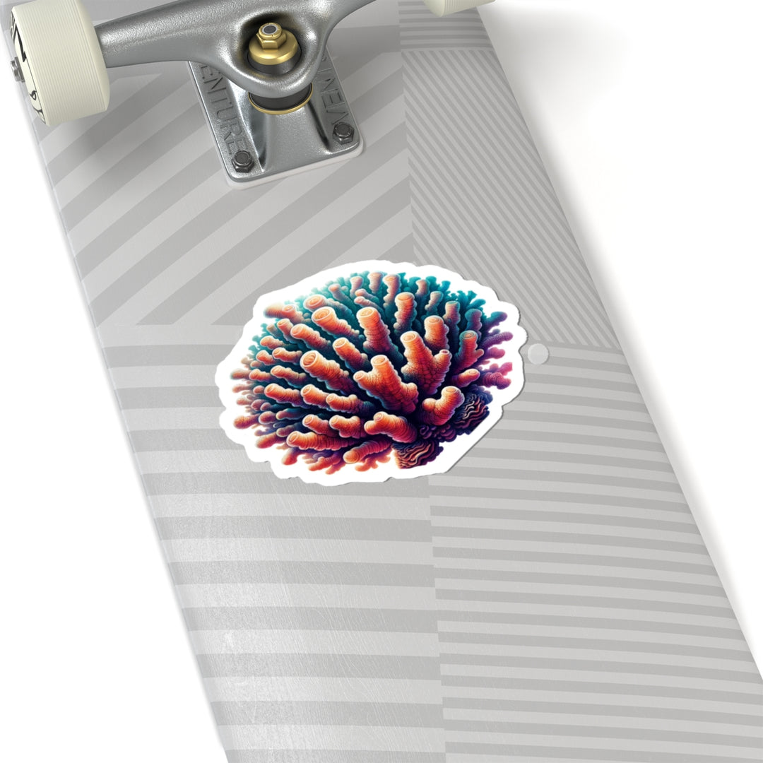 Coral Polyp