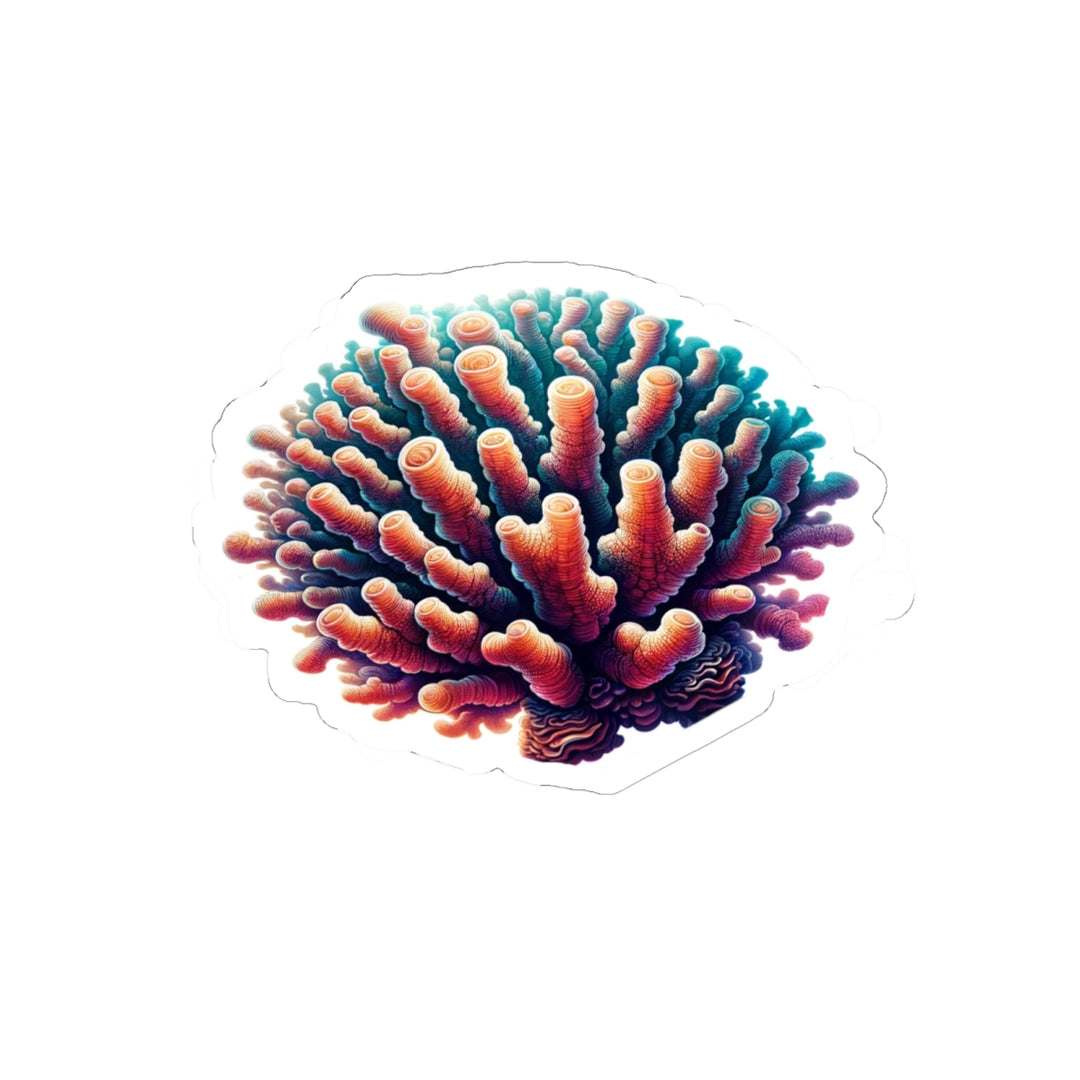 Coral Polyp