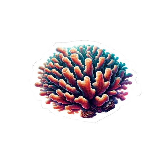 Coral Polyp