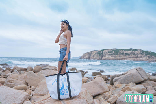Large Water Resistant Whaleshark Bag
