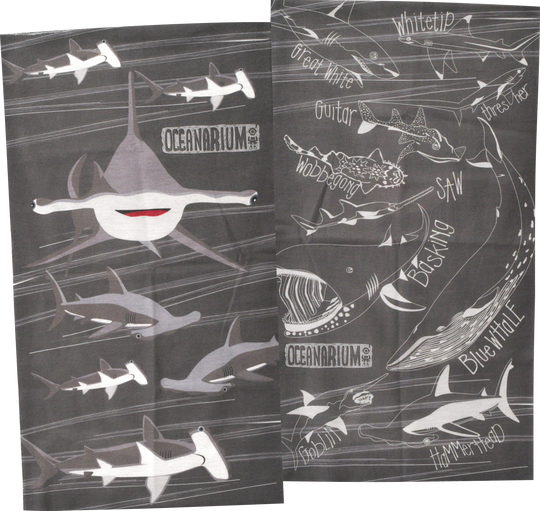 Hammerhead Headwear