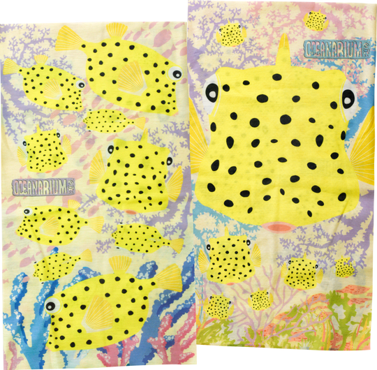 Boxfish Headwear